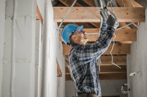 Best Electrical Upgrades for Homes  in Ozona, TX