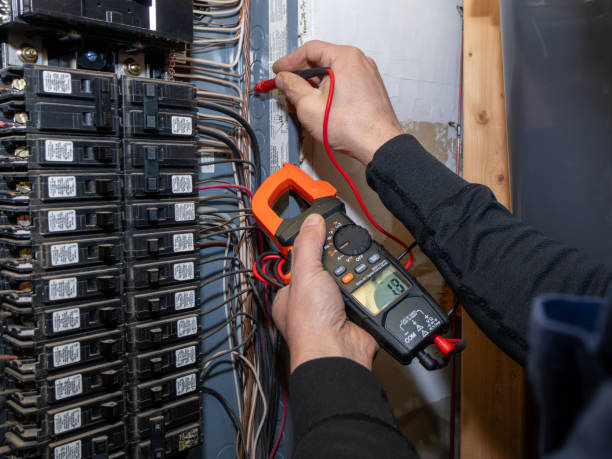 Best Local Electrician Companies  in Ozona, TX